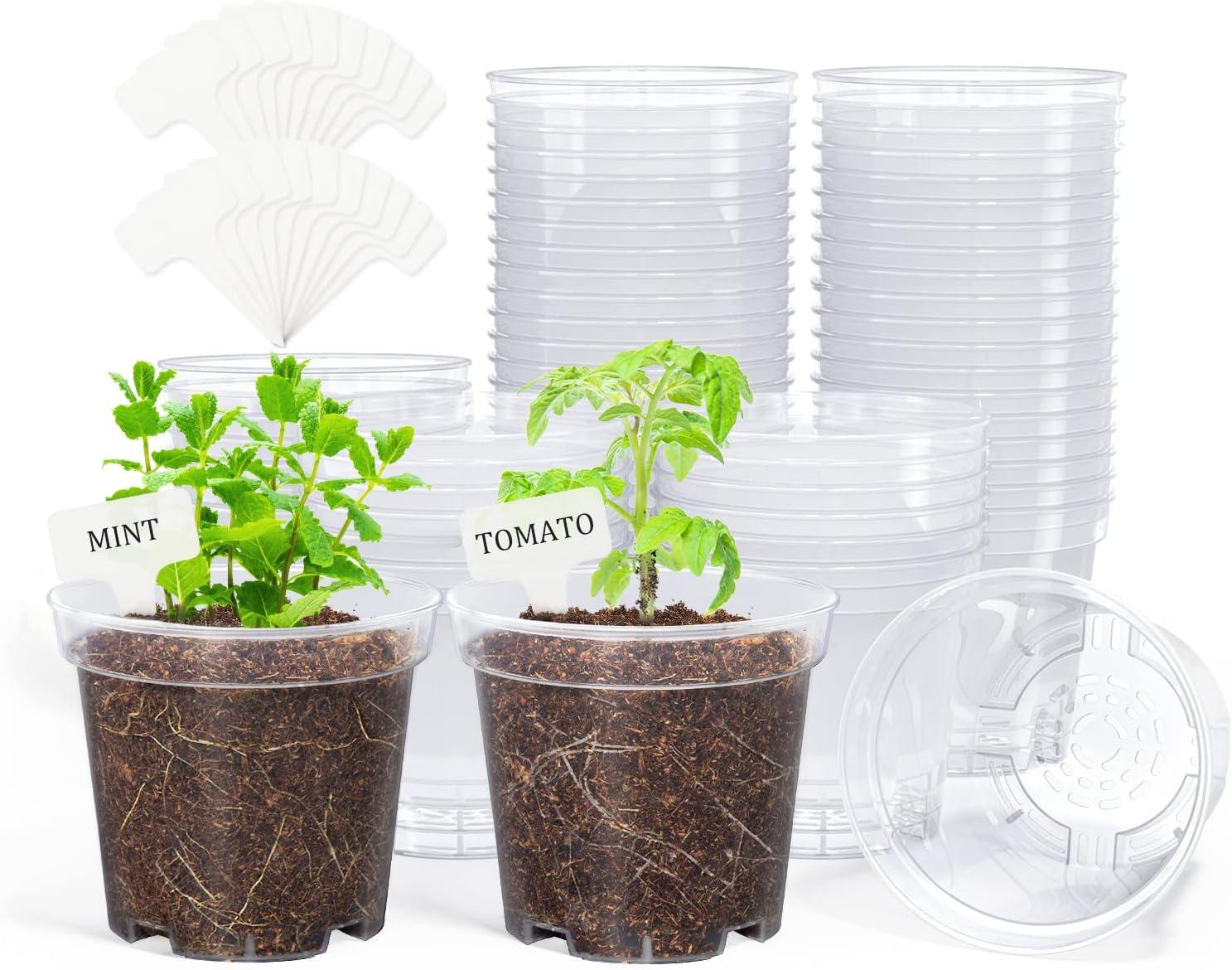 imagehomenote Clear Nursery Pots for Plants4567 Inch Plant Pot for Planting Plastic Seedling Pots with Drainage Holes Seed Starter Pot Flower Pots High Transparency with 20 Plant Labels 30 PackTransparencyno Lid