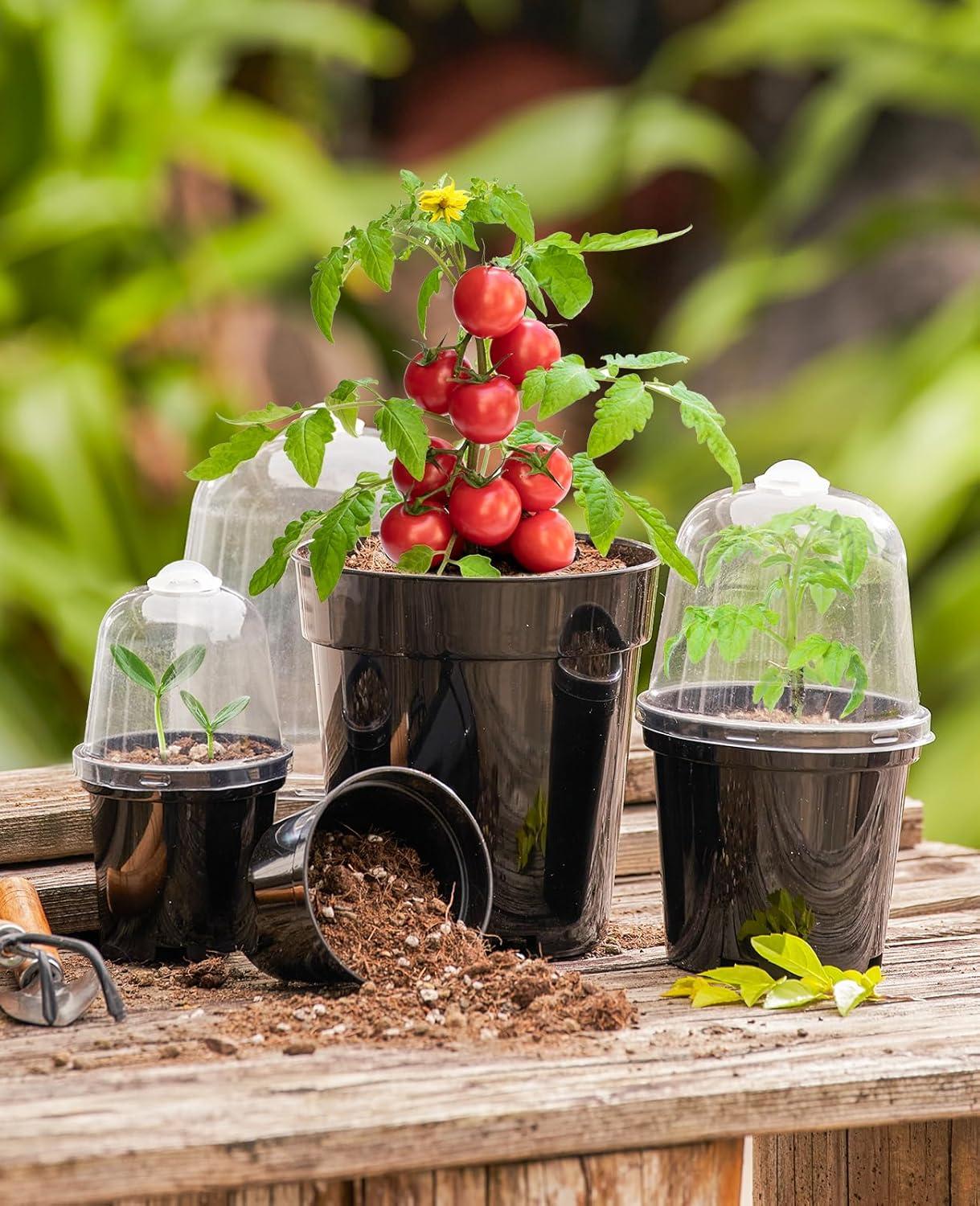 imagehomenote Clear Nursery Pots for Plants4567 Inch Plant Pot for Planting Plastic Seedling Pots with Drainage Holes Seed Starter Pot Flower Pots High Transparency with 20 Plant Labels 30 PackBlackwith Lid