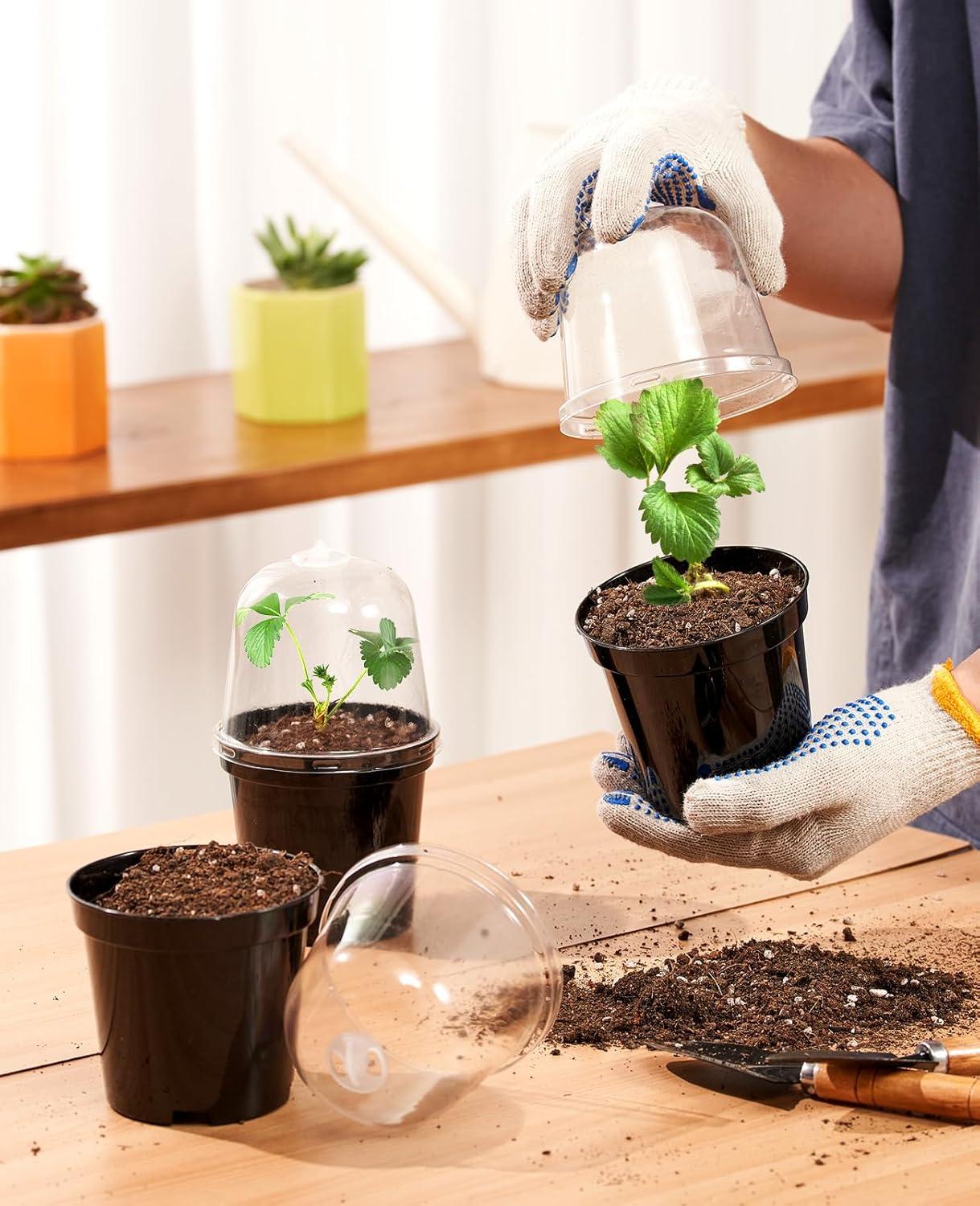 imagehomenote Clear Nursery Pots for Plants4567 Inch Plant Pot for Planting Plastic Seedling Pots with Drainage Holes Seed Starter Pot Flower Pots High Transparency with 20 Plant Labels 30 PackBlackwith Lid