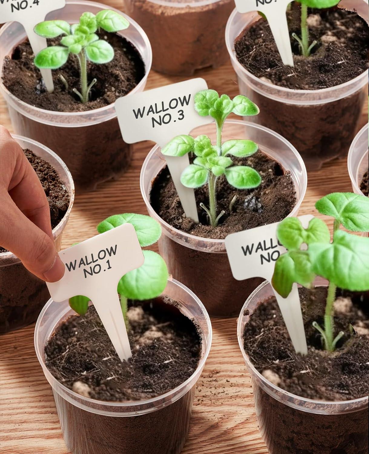 imagehomenote Clear Nursery Pots for Plants4567 Inch Plant Pot for Planting Plastic Seedling Pots with Drainage Holes Seed Starter Pot Flower Pots High Transparency with 20 Plant Labels 30 PackTransparencyno Lid