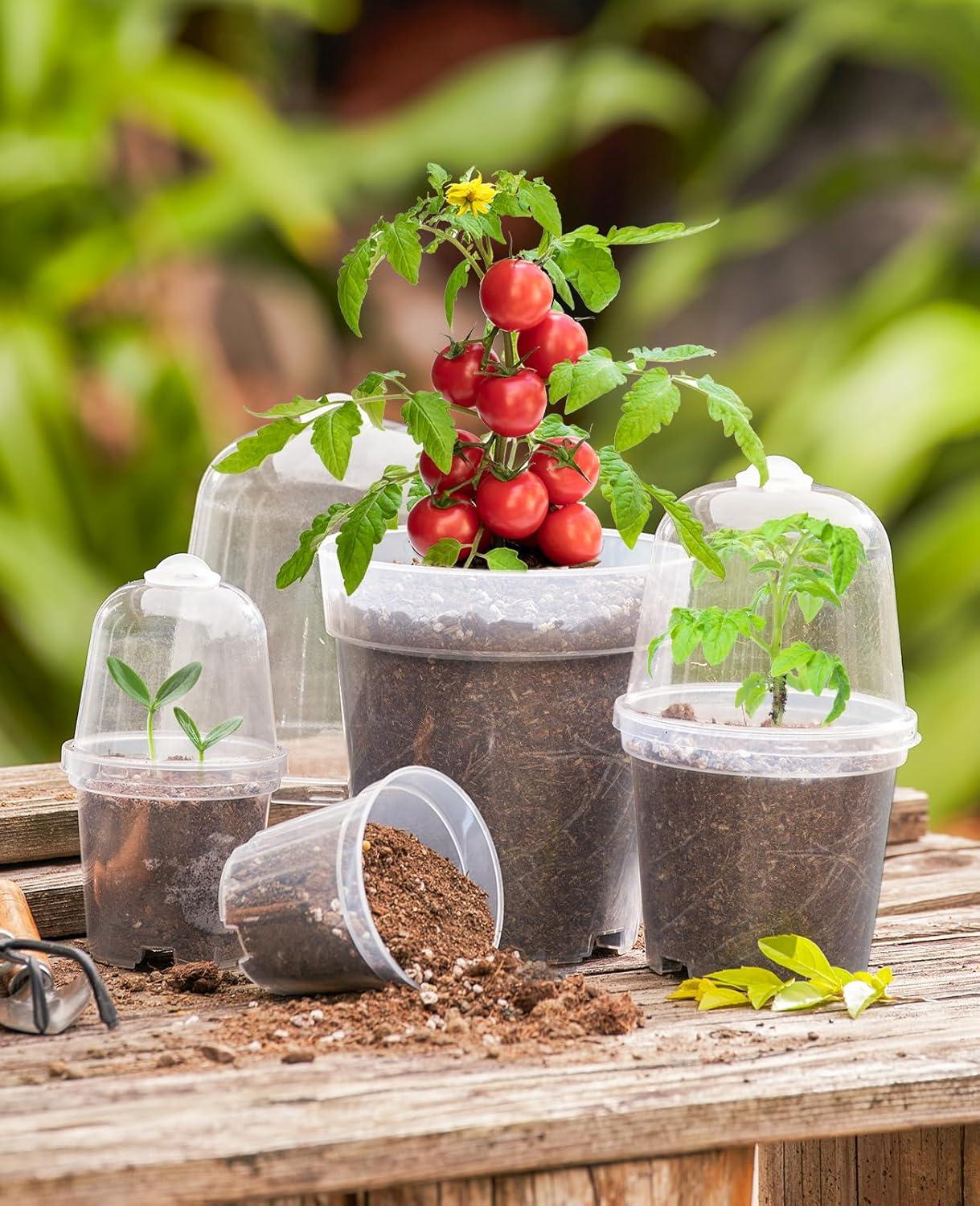 imagehomenote Clear Nursery Pots for Plants4567 Inch Plant Pot for Planting Plastic Seedling Pots with Drainage Holes Seed Starter Pot Flower Pots High Transparency with 20 Plant Labels 30 PackTransparencywith Lid