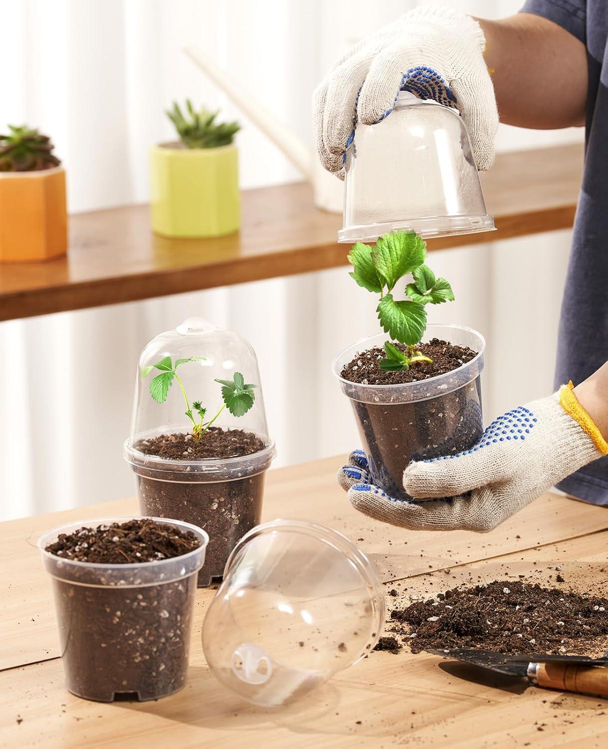 imagehomenote Clear Nursery Pots for Plants4567 Inch Plant Pot for Planting Plastic Seedling Pots with Drainage Holes Seed Starter Pot Flower Pots High Transparency with 20 Plant Labels 30 PackTransparencywith Lid