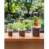 imagehomenote Clear Nursery Pots for Plants4567 Inch Plant Pot for Planting Plastic Seedling Pots with Drainage Holes Seed Starter Pot Flower Pots High Transparency with 20 Plant Labels 30 PackTransparencyno Lid