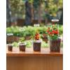 imagehomenote Clear Nursery Pots for Plants4567 Inch Plant Pot for Planting Plastic Seedling Pots with Drainage Holes Seed Starter Pot Flower Pots High Transparency with 20 Plant Labels 30 PackTransparencyno Lid