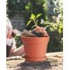 imagehomenote Pots for Plants 15 Pack 6 Inch Plastic Planters with Multiple Drainage Holes and TrayPlant Pots for All Home Garden Flowers Succulents BlackTerra Cotta15 Pcs