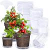 image:imagehomenote 3 Inch Clear Nursery Pots 30 Pack with Humidity DomesampPlant SaucersRigid Plastic Nursery Pots with DrainageTransparent Flower Pots for Seedlings360 Rotary VentIndoor Outdoor GardenWithout Humidity Domes