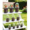 image:imagehomenote 3 Inch Clear Nursery Pots 30 Pack with Humidity DomesampPlant SaucersRigid Plastic Nursery Pots with DrainageTransparent Flower Pots for Seedlings360 Rotary VentIndoor Outdoor GardenWith Humidity Domes