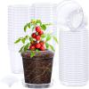 image:imagehomenote 3 Inch Clear Nursery Pots 30 Pack with Humidity DomesampPlant SaucersRigid Plastic Nursery Pots with DrainageTransparent Flower Pots for Seedlings360 Rotary VentIndoor Outdoor GardenWithout Humidity Domes