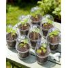 image:imagehomenote 3 Inch Clear Nursery Pots 30 Pack with Humidity DomesampPlant SaucersRigid Plastic Nursery Pots with DrainageTransparent Flower Pots for Seedlings360 Rotary VentIndoor Outdoor GardenWith Humidity Domes