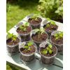 image:imagehomenote 3 Inch Clear Nursery Pots 30 Pack with Humidity DomesampPlant SaucersRigid Plastic Nursery Pots with DrainageTransparent Flower Pots for Seedlings360 Rotary VentIndoor Outdoor GardenWithout Humidity Domes