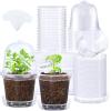 image:imagehomenote 3 Inch Clear Nursery Pots 30 Pack with Humidity DomesampPlant SaucersRigid Plastic Nursery Pots with DrainageTransparent Flower Pots for Seedlings360 Rotary VentIndoor Outdoor GardenWith Humidity Domes