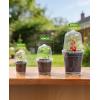 image:imagehomenote 3 Inch Clear Nursery Pots 30 Pack with Humidity DomesampPlant SaucersRigid Plastic Nursery Pots with DrainageTransparent Flower Pots for Seedlings360 Rotary VentIndoor Outdoor GardenWith Humidity Domes