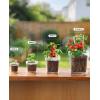 image:imagehomenote 3 Inch Clear Nursery Pots 30 Pack with Humidity DomesampPlant SaucersRigid Plastic Nursery Pots with DrainageTransparent Flower Pots for Seedlings360 Rotary VentIndoor Outdoor GardenWithout Humidity Domes