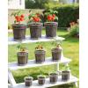 image:imagehomenote 3 Inch Clear Nursery Pots 30 Pack with Humidity DomesampPlant SaucersRigid Plastic Nursery Pots with DrainageTransparent Flower Pots for Seedlings360 Rotary VentIndoor Outdoor GardenWithout Humidity Domes