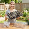 image:imagehomenote 4 Inch Seed Starting Trays with Humidity Domes for Plants 4 Pack 12Cell Seedling Starter Trays Plant Starter Germination Trays for Pots Seedlings for Indoor4 Opening Compatible Pots3 Inch