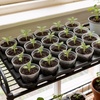 image:imagehomenote 4 Inch Seed Starting Trays with Humidity Domes for Plants 4 Pack 12Cell Seedling Starter Trays Plant Starter Germination Trays for Pots Seedlings for Indoor4 Opening Compatible Pots3 Inch
