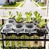 image:imagehomenote 4 Inch Seed Starting Trays with Humidity Domes for Plants 4 Pack 12Cell Seedling Starter Trays Plant Starter Germination Trays for Pots Seedlings for Indoor4 Opening Compatible Pots4 Inch