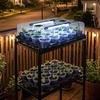 image:imagehomenote 4 Inch Seed Starting Trays with Humidity Domes for Plants 4 Pack 12Cell Seedling Starter Trays Plant Starter Germination Trays for Pots Seedlings for Indoor4 Opening Compatible Pots3 Inch