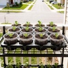 image:imagehomenote 4 Inch Seed Starting Trays with Humidity Domes for Plants 4 Pack 12Cell Seedling Starter Trays Plant Starter Germination Trays for Pots Seedlings for Indoor4 Opening Compatible Pots4 Inch