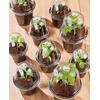 image:imageHOMENOTE Nursery Pots for Plants with Humidity Domes345Inch Plant Pot for Planting Plastic Seedling Pots with Drainage HolesBlack 15 Pack