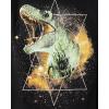imageThe Childrens Place Boys Short Sleeve Graphic TShirt 2PackTriceratopDino Galaxy 2pack