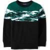 imageThe Childrens Place Boys Long Sleeve Crew Neck Pullover SweatshirtBlack Green Camo