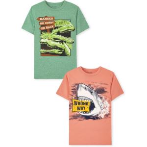 imageThe Childrens Place Boys Short Sleeve Graphic TShirt 2PackDangerWrong Way 2pack