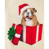imageThe Childrens Place Boys Long Sleeve Graphic Layered TShirtHoliday Dog