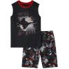 imageThe Childrens Place Boys Sleeveless Tank Top and Shorts 2 Piece Pajama SetsNinja Skills Single