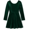 imageThe Childrens Place Girls 2 Pack Long Sleeve Fashion Skater DressVelour Spruce Shade 2pack