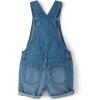 imageThe ChildrenS Place Girls Denim Shortall OverallsRose Wash