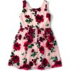 imageThe Childrens PlaceGirlsSleeveless Dressy DressesRose Dust Floral10