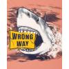 imageThe Childrens Place Boys Short Sleeve Graphic TShirts MultipackDangerWrong Way 2pack