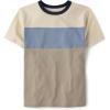 Arid Earth Stripe
