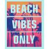 imageThe Childrens Place Boys Assorted Everyday Short Sleeve Graphic TShirts MultipackSurferingBeach Vibes Only 2pack