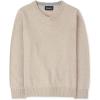 imageThe Childrens Place Boys Long Sleeve VNeck Pullover SweaterHT Straw
