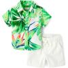 imageThe Childrens Place babyboys And Newborn Short Sleeve Button Down Shirt and Shorts 2 Piece Outfit SetPalm Tree