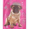 imageThe Childrens Place Girls Animal Short Sleeve Graphic TShirts MultipackBearDogCat