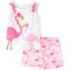 Pink Flamingo Set