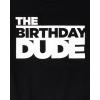 imageThe Childrens Place BabyBoys and Toddler All HolidaysBirthdays Short Sleeve Graphic TShirts2 PackBirthday DudeHandsome Trouble