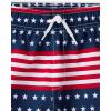 image:imageThe Childrens Place Boys Swim TrunksStarsStripes