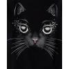 image:imageThe Childrens Place Girls All HolidaysBirthdays Short Sleeve Graphic TShirts3 PackCatWitch CatSpooky Icons