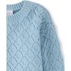 image:imageThe Childrens Place Girls Long Sleeve Crew Neck Pullover SweaterChalk Blue Crochet