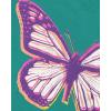 image:imageThe Childrens Place Girls UnicornsButterfly Short Sleeve Graphic TShirts3 PackButterflyButterfly HeartsRainbows