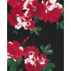 image:imageThe Childrens Place Big Girls Fashion Leggings Heather Grey 47827 Pack of 2 Large1012Black Roses Rose ParadePlaid 3pack
