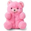 image:imageThe Childrens Place Kids And Toddler Boys and Girls Everyday SlippersPink Bear