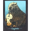 image:imageThe Childrens Place Boys Short Sleeve Graphic T Shirt 3PackOmbre DinoNo CapCapybara